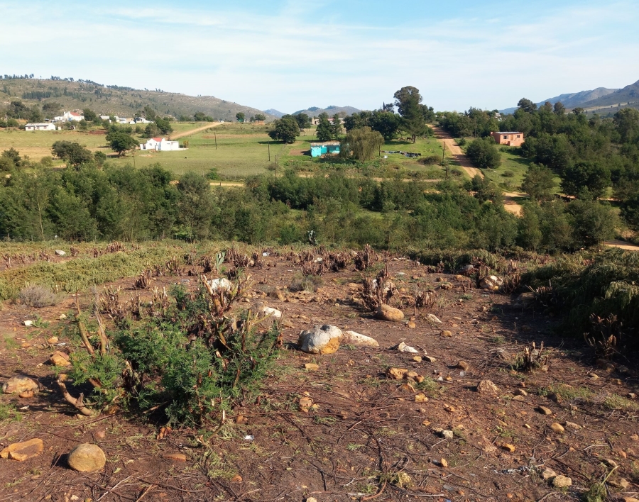 0 Bedroom Property for Sale in Haarlem Western Cape